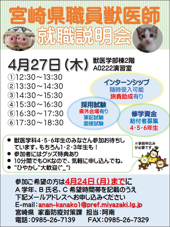 宮崎県チラシ
