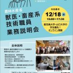 12月18日オンライン業務説明会チラシ
