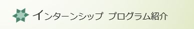 インターンシップ等　プログラム紹介