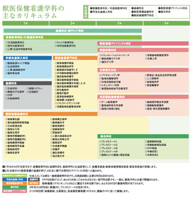 カリキュラム 岡山理科大学獣医学部